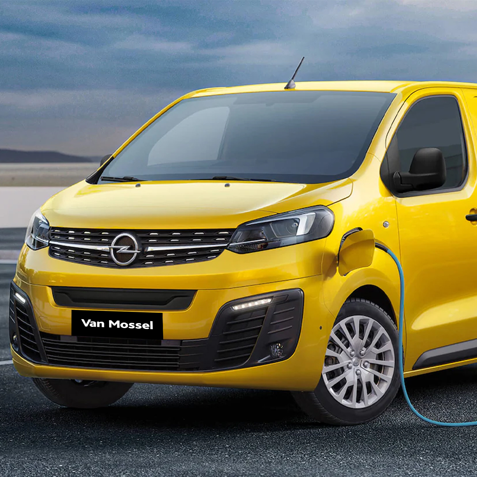 Vivaro e 1534x1534