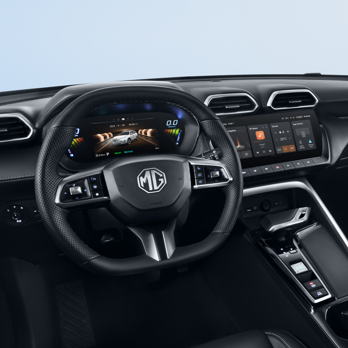 ZS IntDetail1