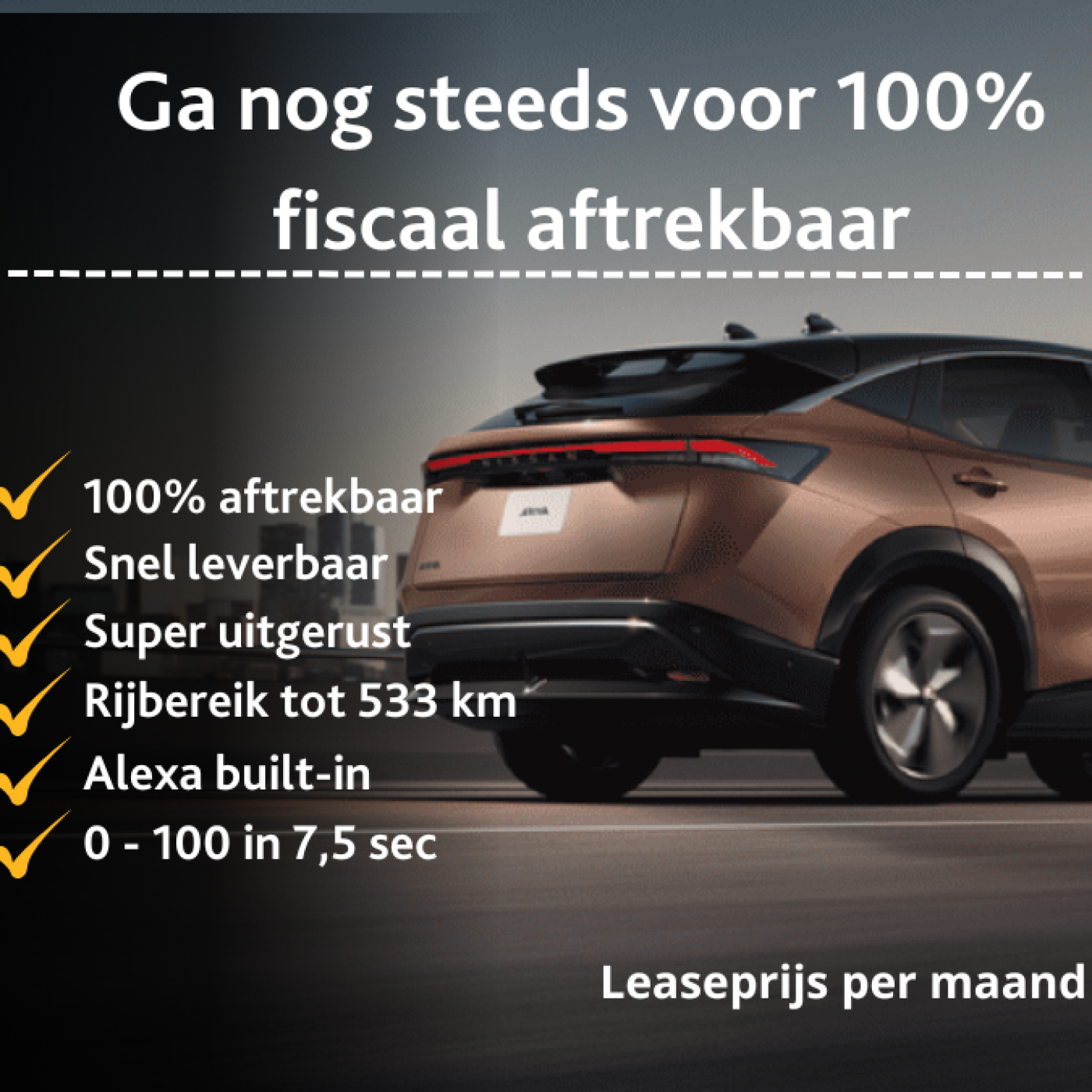 Afbeelding desktop actie Ariya 1