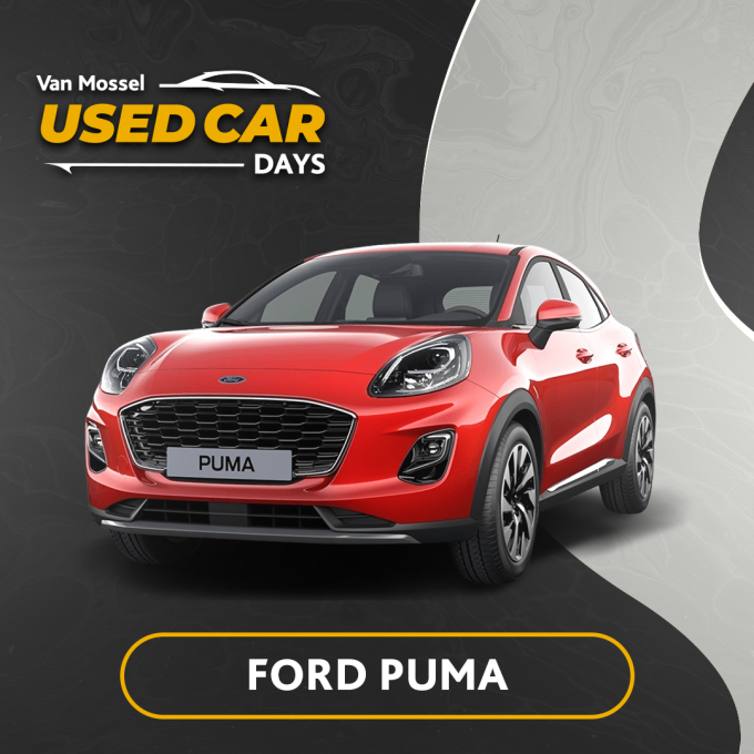 UCD25 Cardblock Ford Puma
