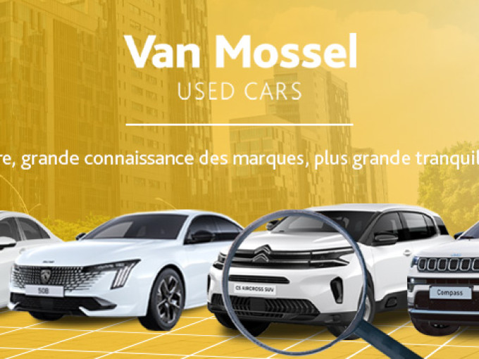 VM GrootGrootseGrootste website card blok mobiel 720x360