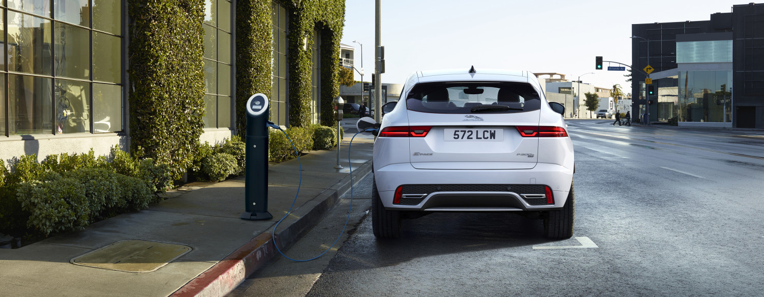 Jaguar 4000x1333 v3