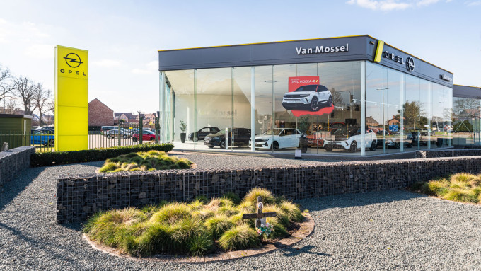 VAN MOSSEL VESTIGINGEN BREE MEEUWERKIEZEL OPEL WEB 20230228 077